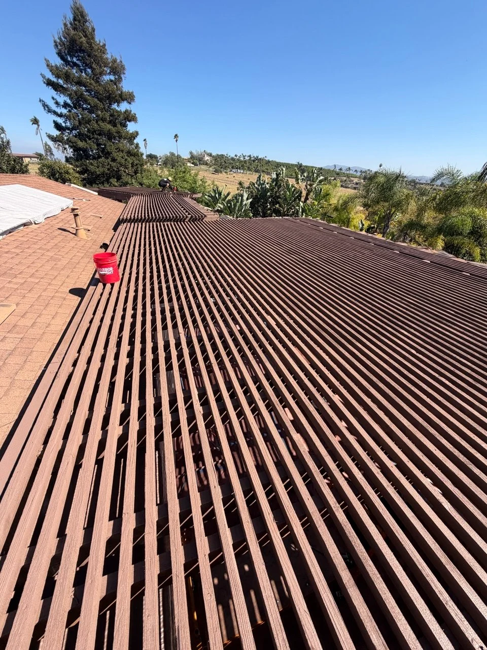 Painted pergola slats from above